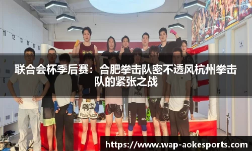 联合会杯季后赛：合肥拳击队密不透风杭州拳击队的紧张之战